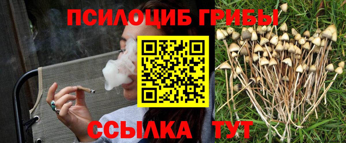 Галлюциногенные грибы Magic Shrooms Ишим